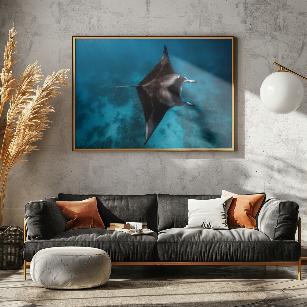 Manta flieg!!! | Poster