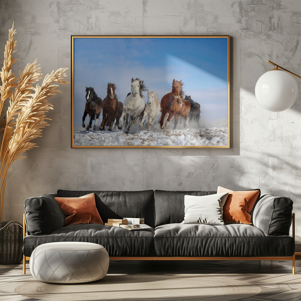 Mongolische Pferde | Poster
