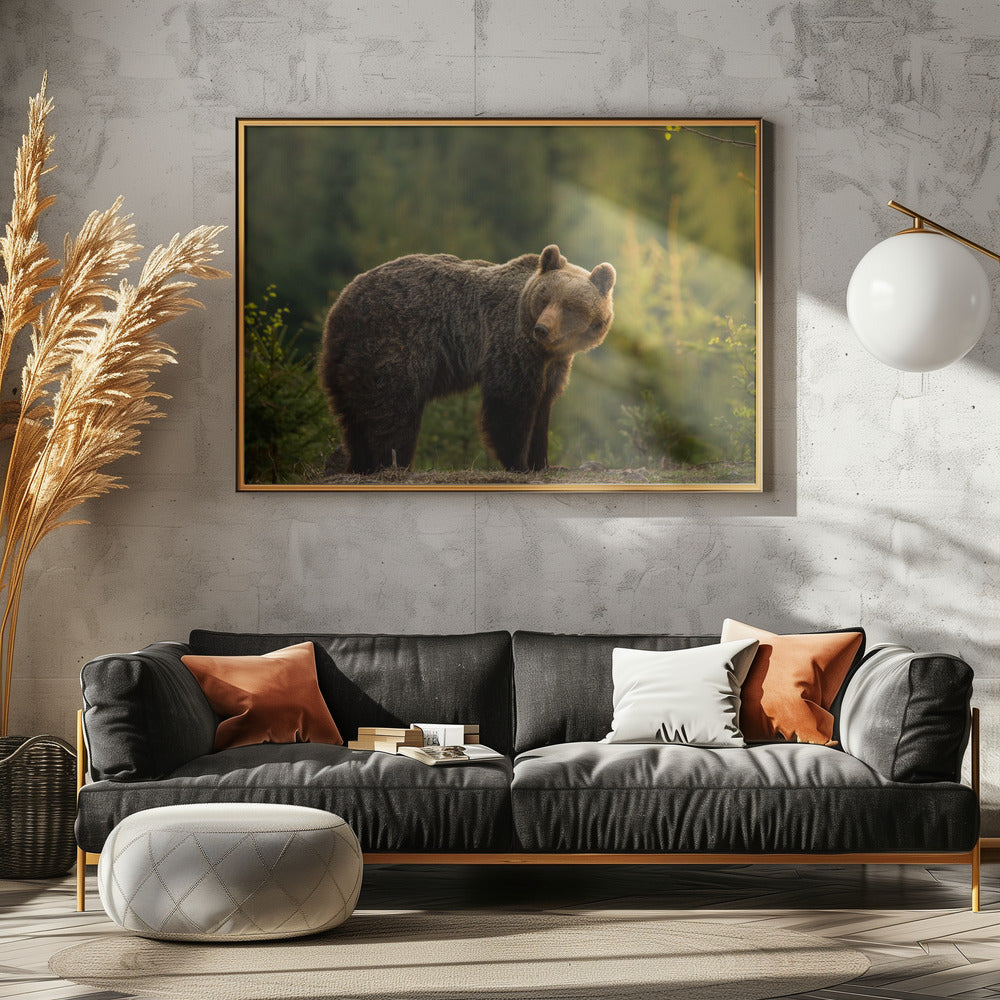 Hinterleuchteter Bär | Leinwand