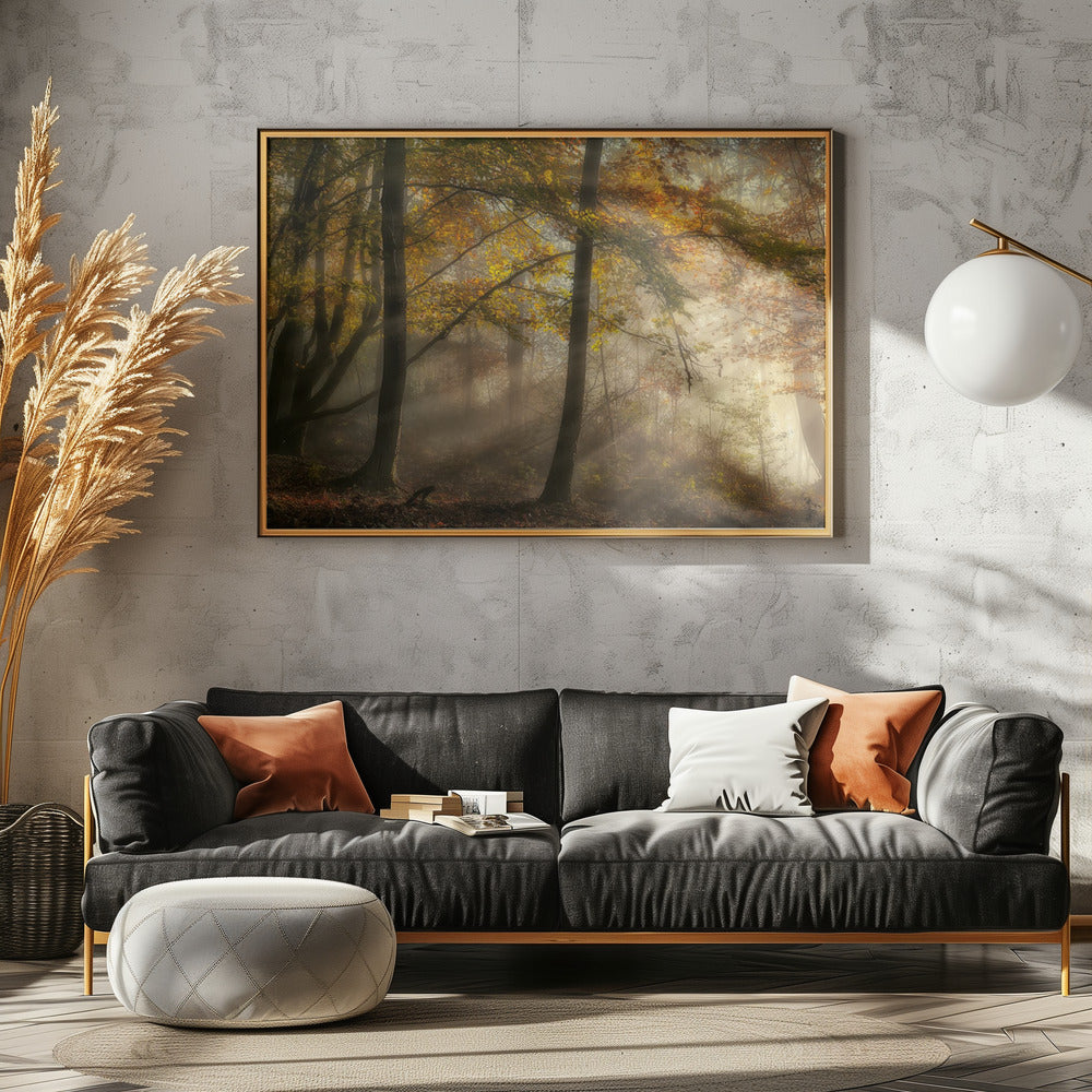 Die Lichter des Waldes | Poster