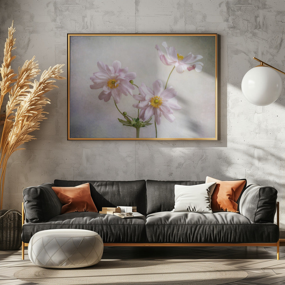 Anemonen | Poster