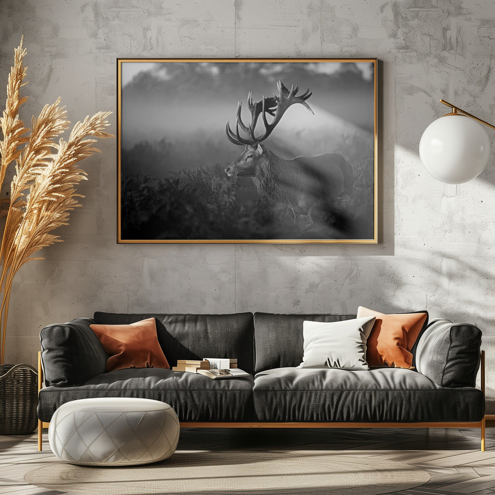 Sonniger Morgen | Poster