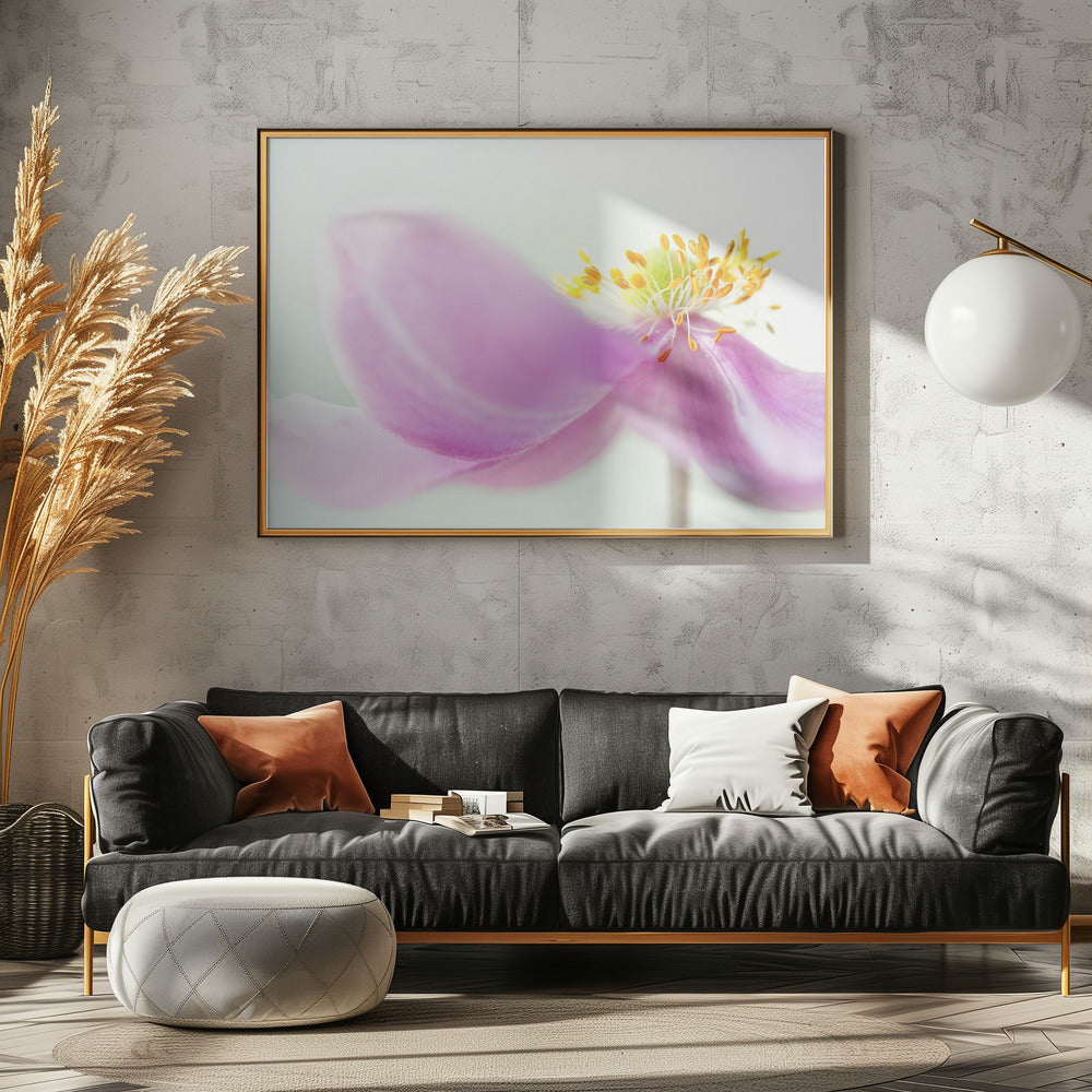 Anemone | Leinwand
