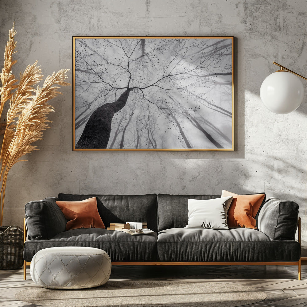Ein Blick in die Baumkrone | Poster