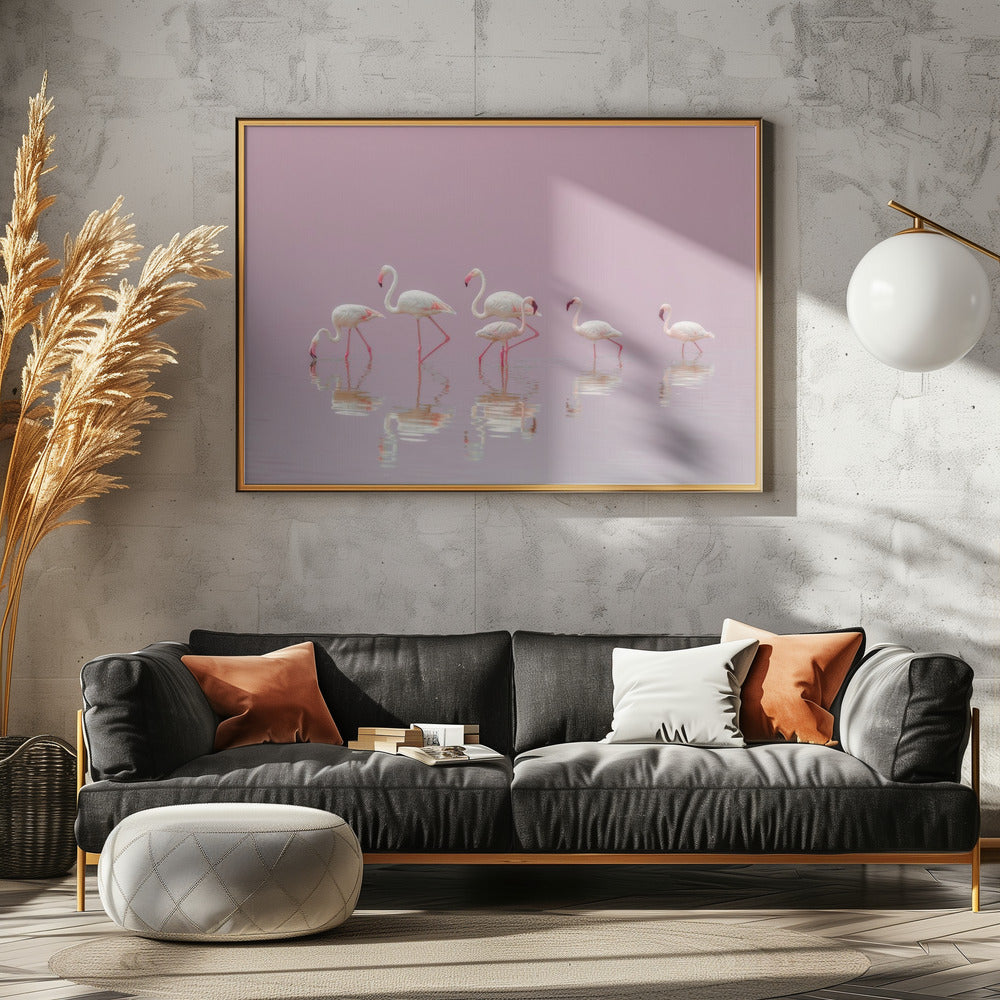 Flamingos | Poster
