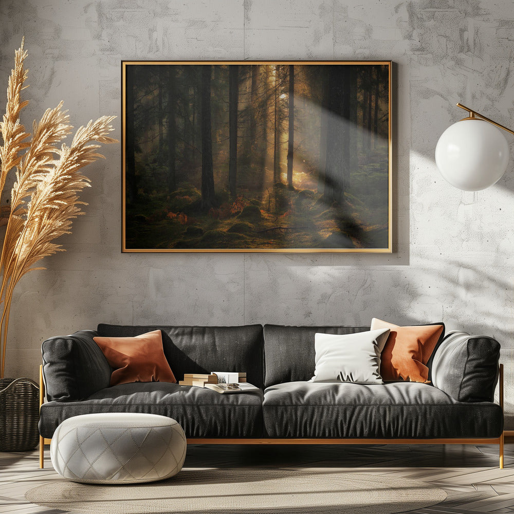 Das Licht im Wald | Poster