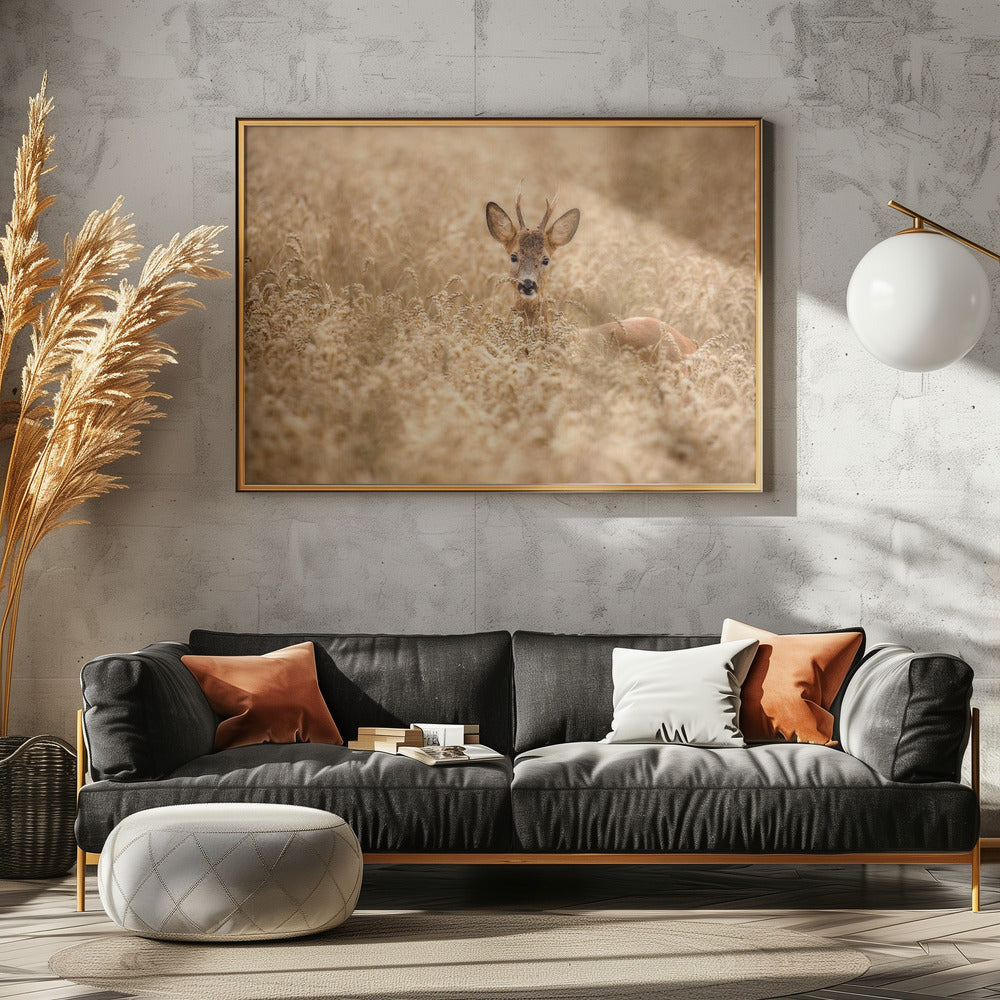 Hirsch auf dem Feld | Poster