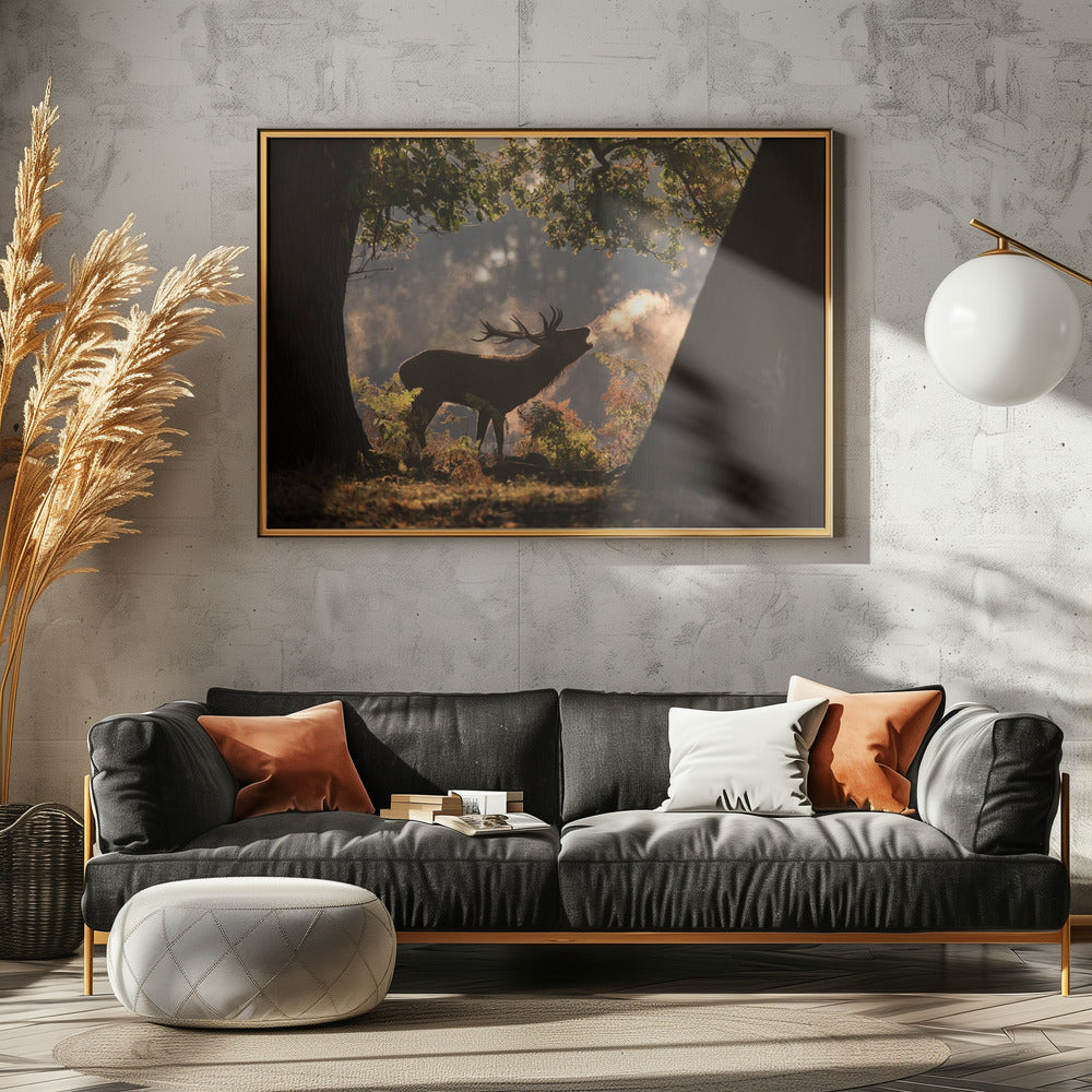 Er wartet im Schatten | Poster