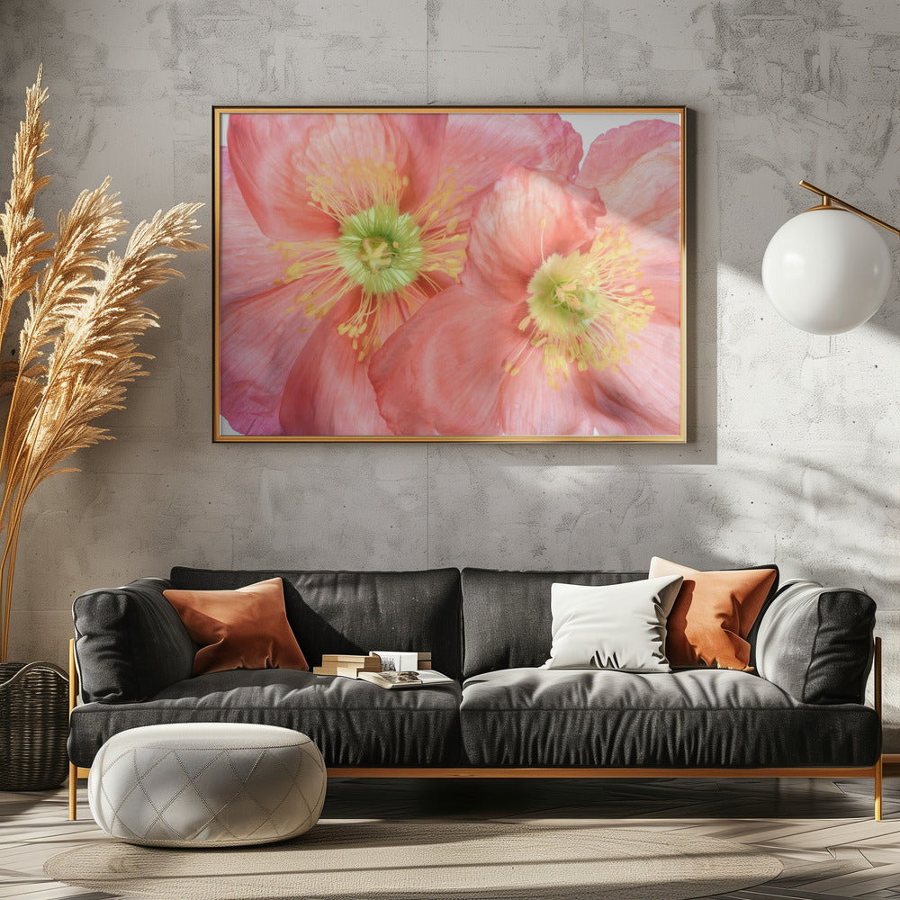 Papaver | Leinwand