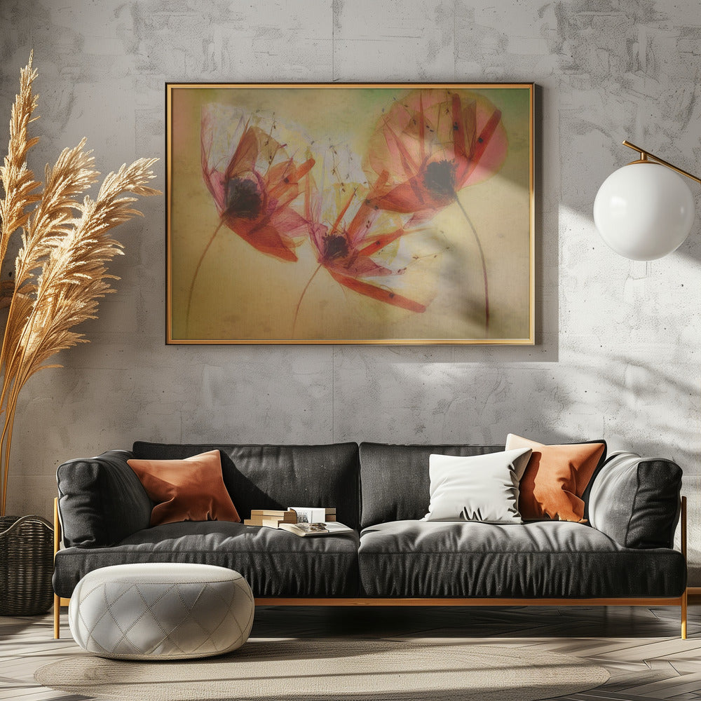 Poppy seeds | Poster