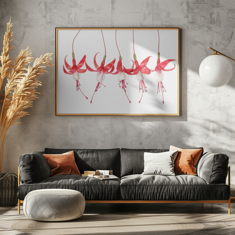 Fuchsie | Poster