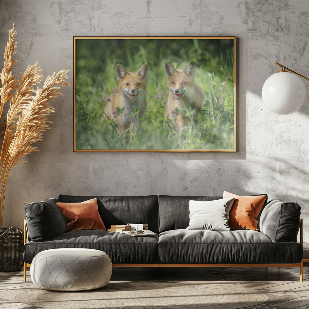 Brüder | Poster