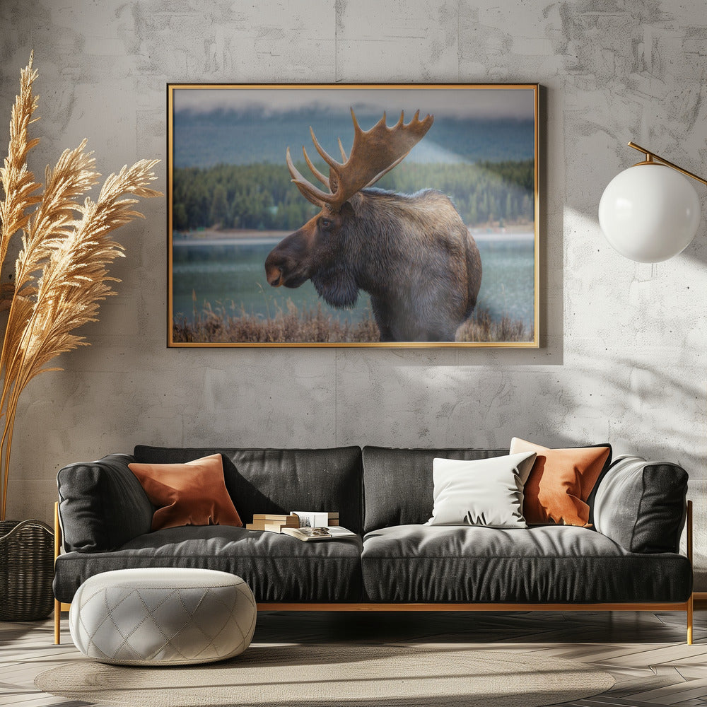 Elch | Poster