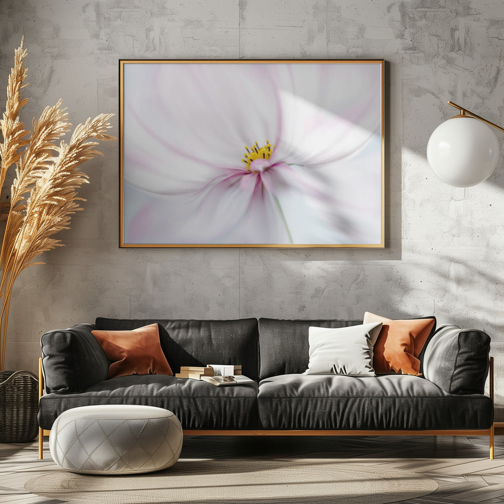 Cosmos | Canvas