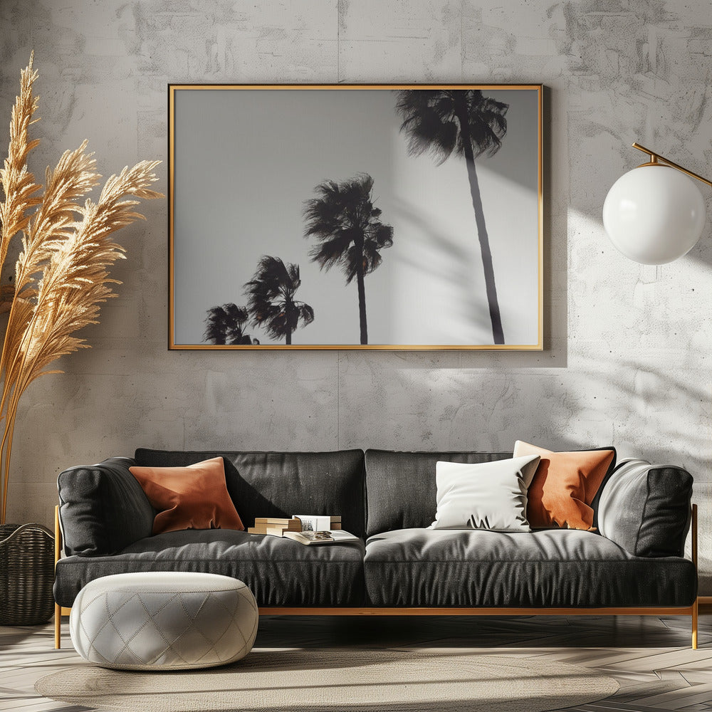 Palm_004 | Canvas