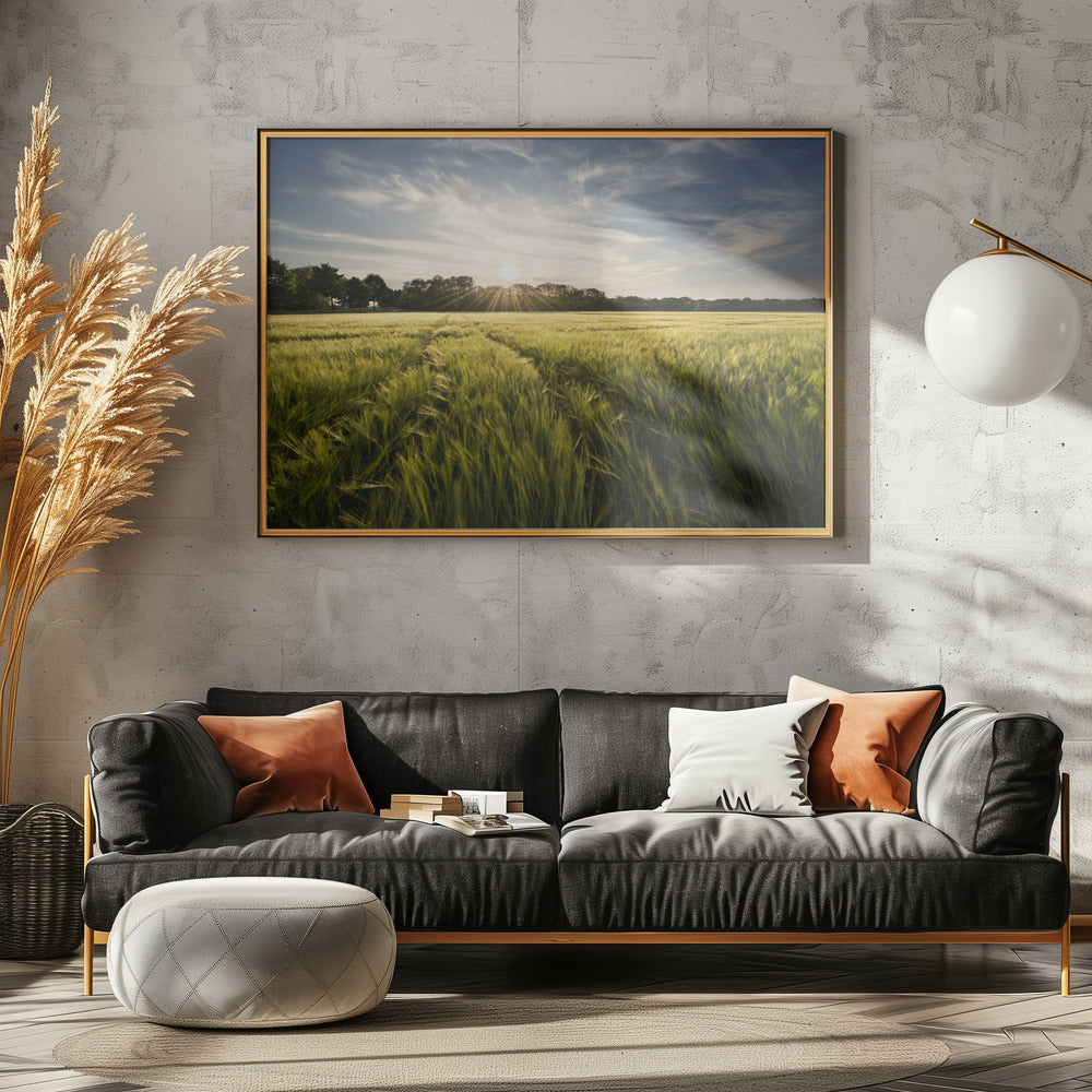 Gerstenwiese | Leinwand
