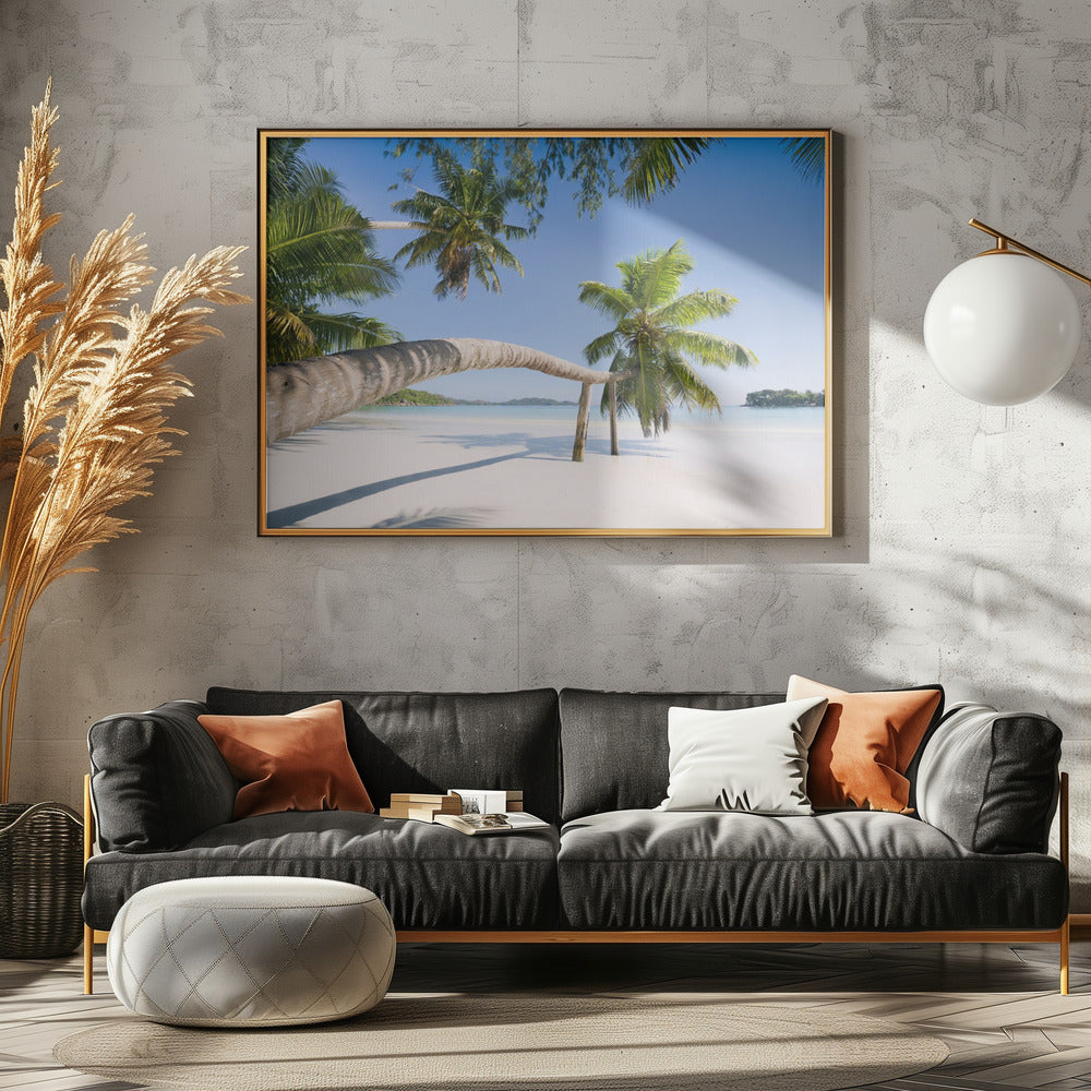 Tropische Palme | Leinwand