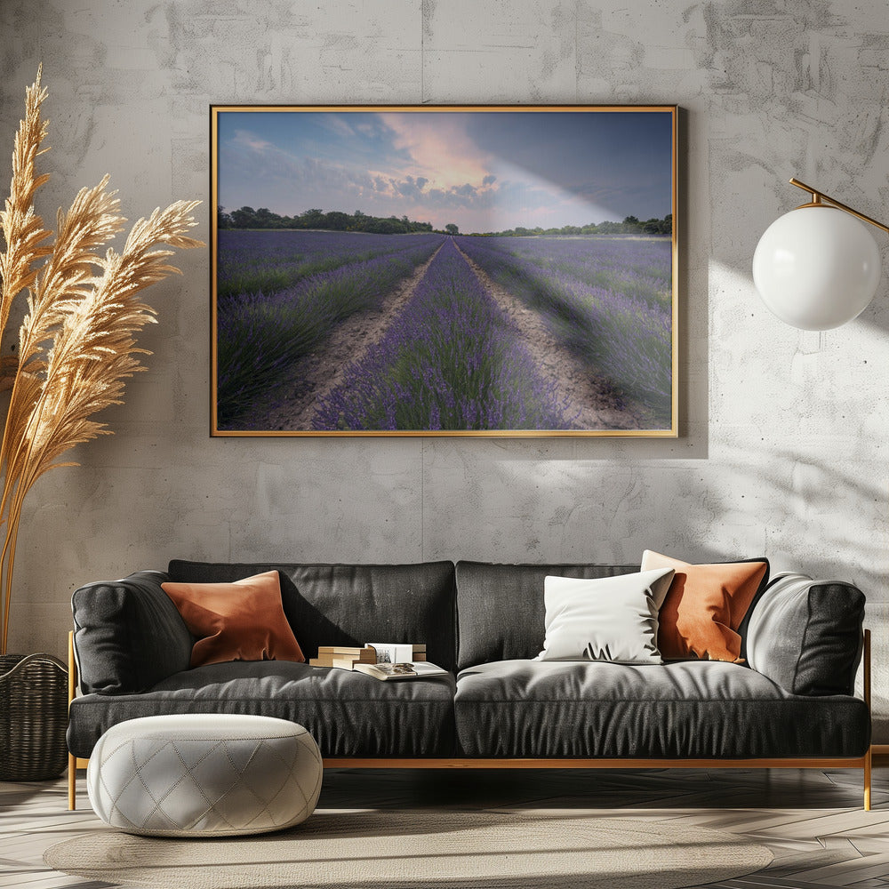 Blauer Lavendel | Leinwand