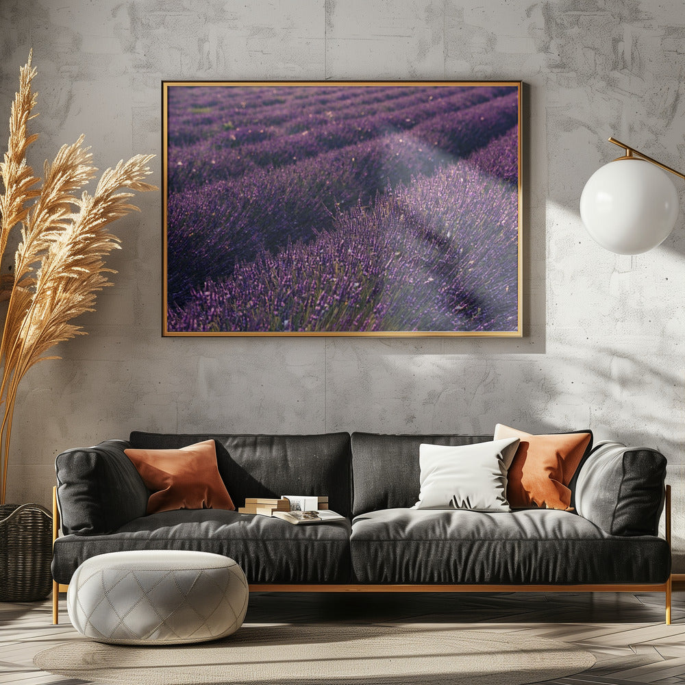 Provence Lavendel | Leinwand