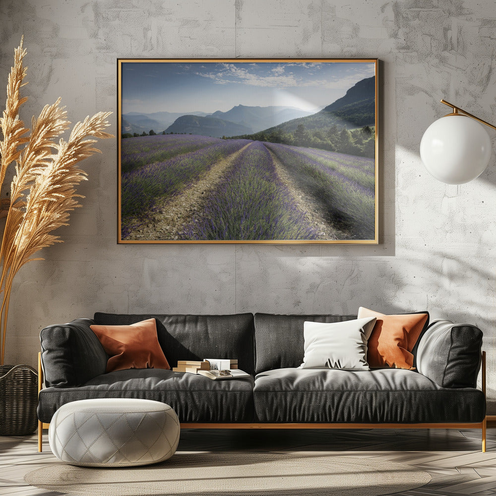 Lavendelhügel | Leinwand