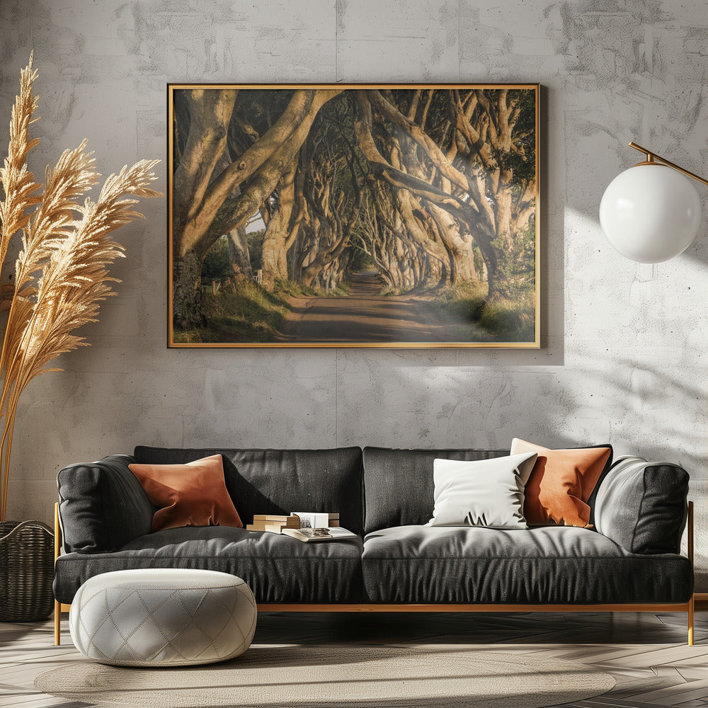The Avenue | Canvas