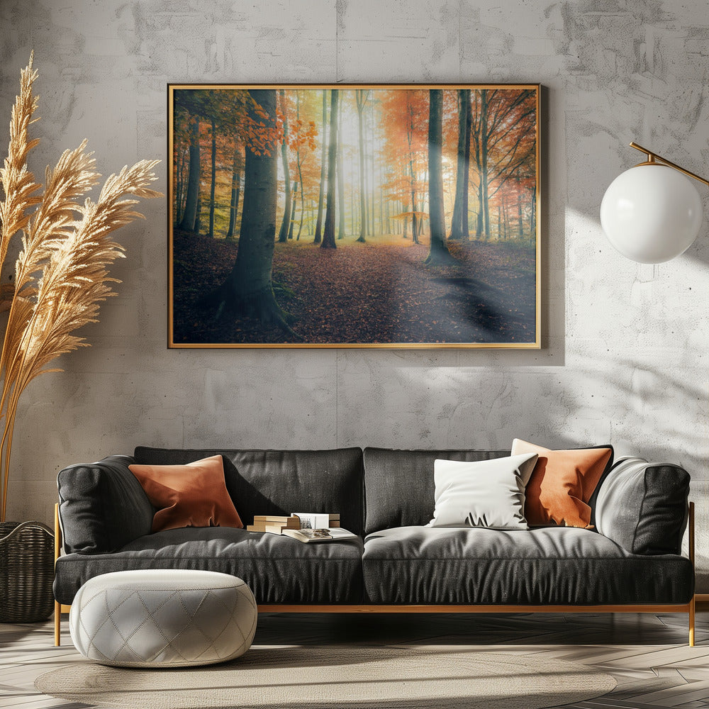 Herbst im Wald | Leinwand