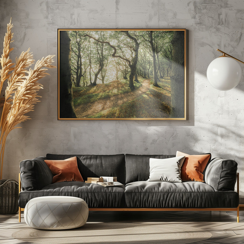 Magisches Buchenholz | Poster