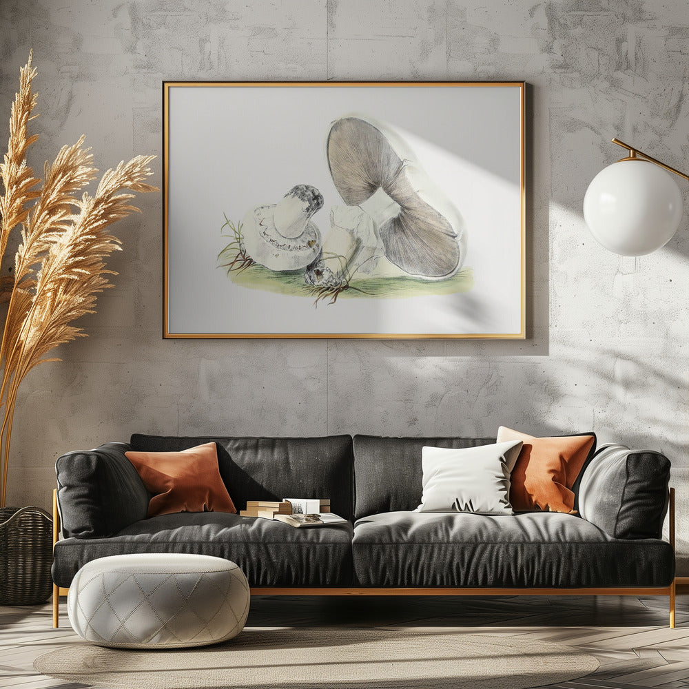 Handgezeichneter Pferdepilz | Leinwand