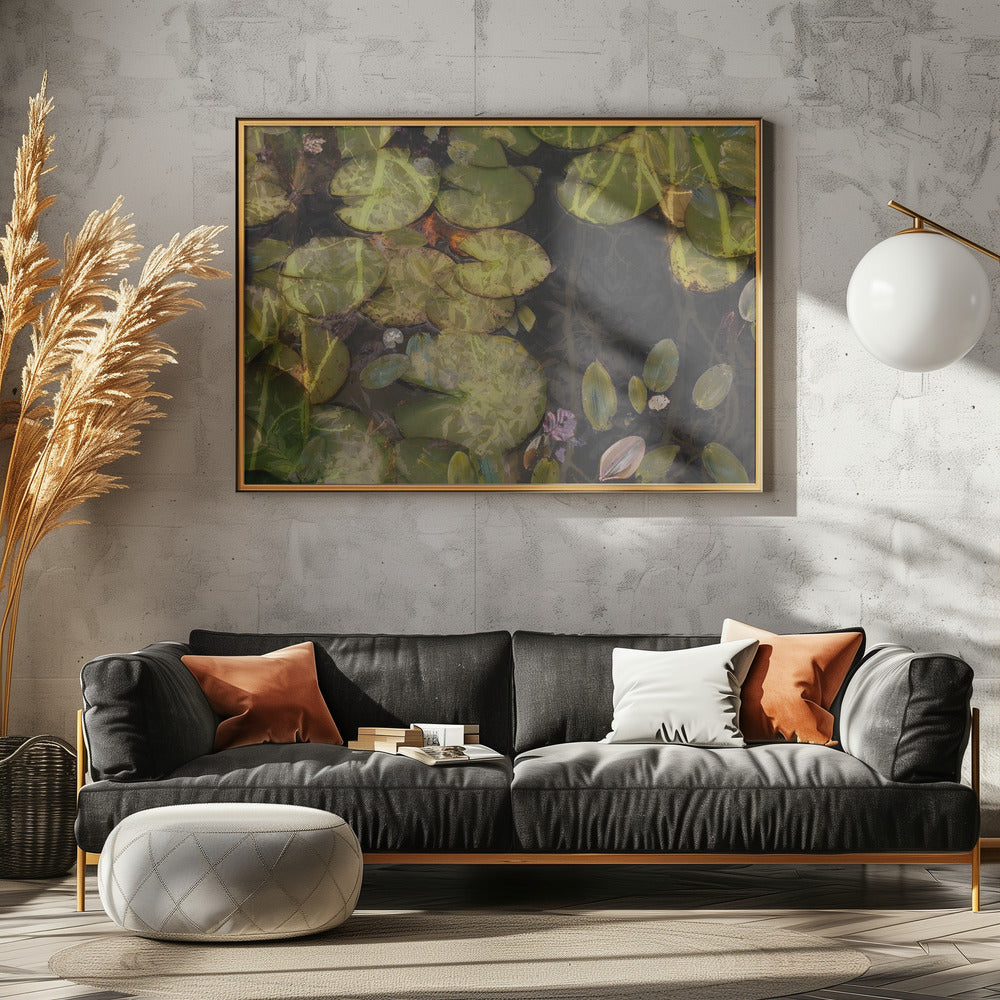 Pond plants | Poster