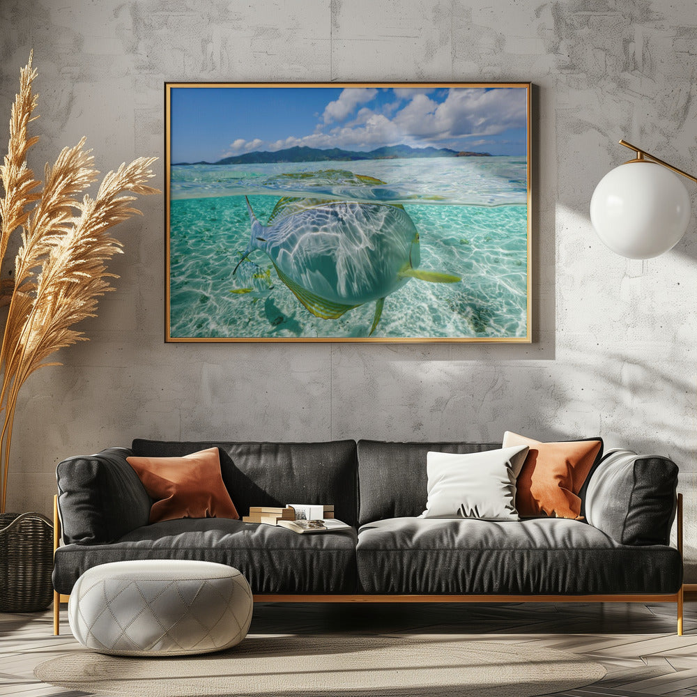 Schwimmbad | Poster