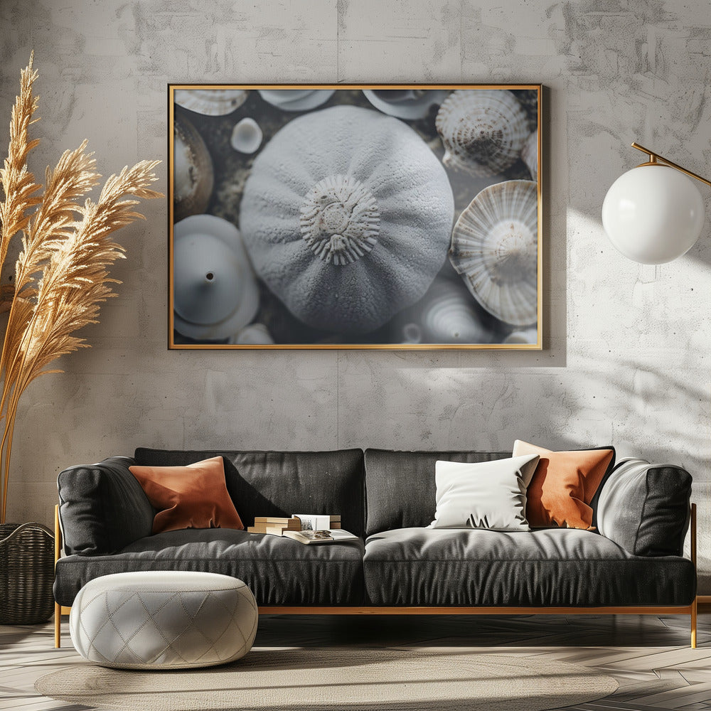 Seashell Symphony | Poster