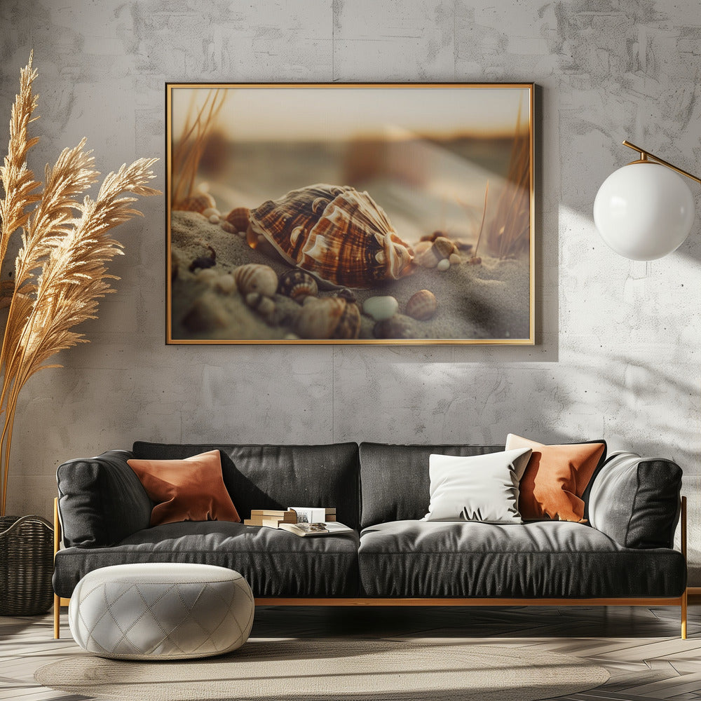 Muscheln bei Sonnenuntergang | Leinwand