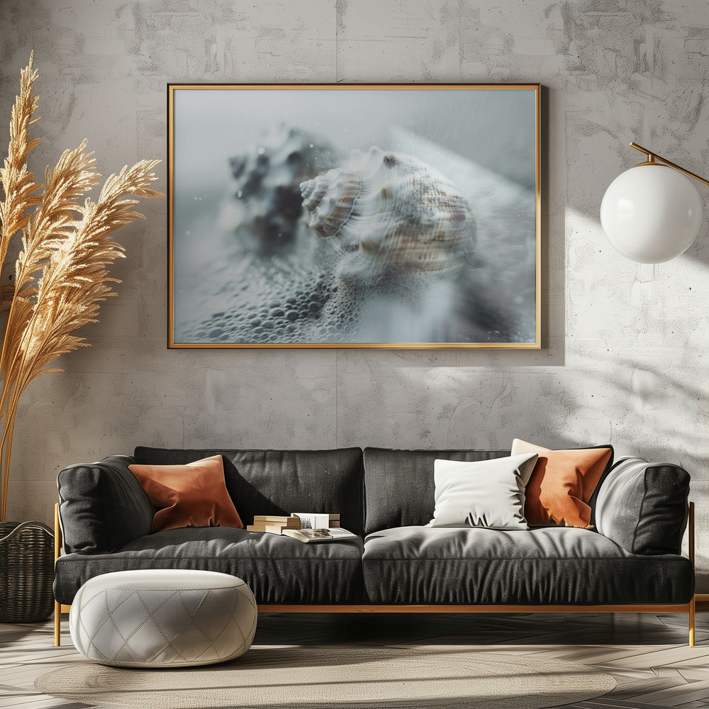 Muscheln im Ozeannebel | Poster