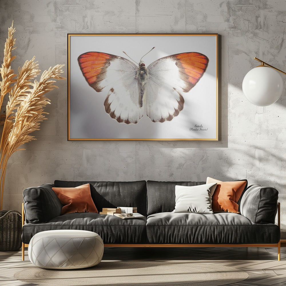 Schmetterling - 3 | Leinwand