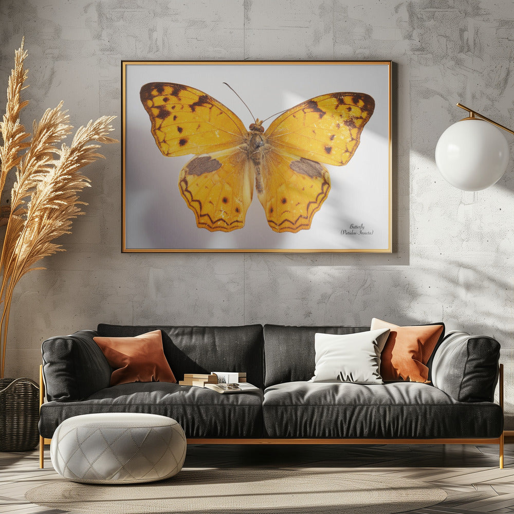 Schmetterling - 10 | Leinwand