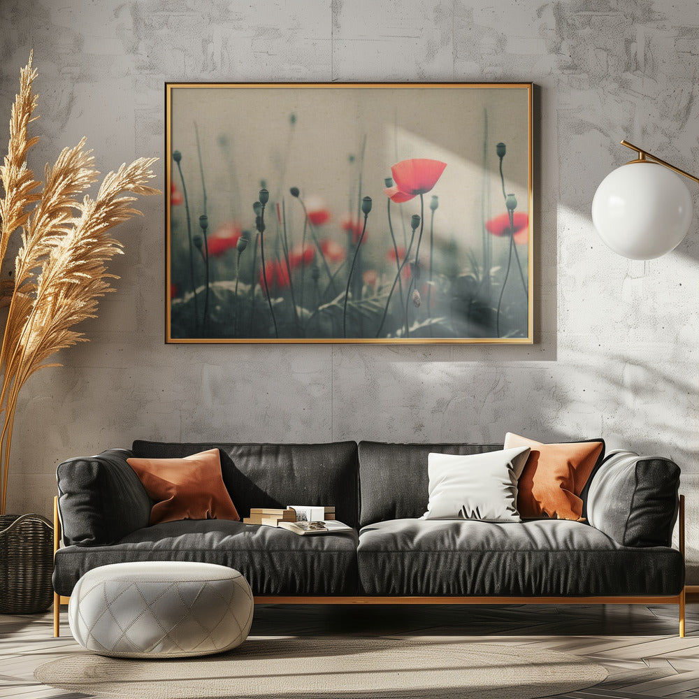 Mohnblumen im Nebel | Poster
