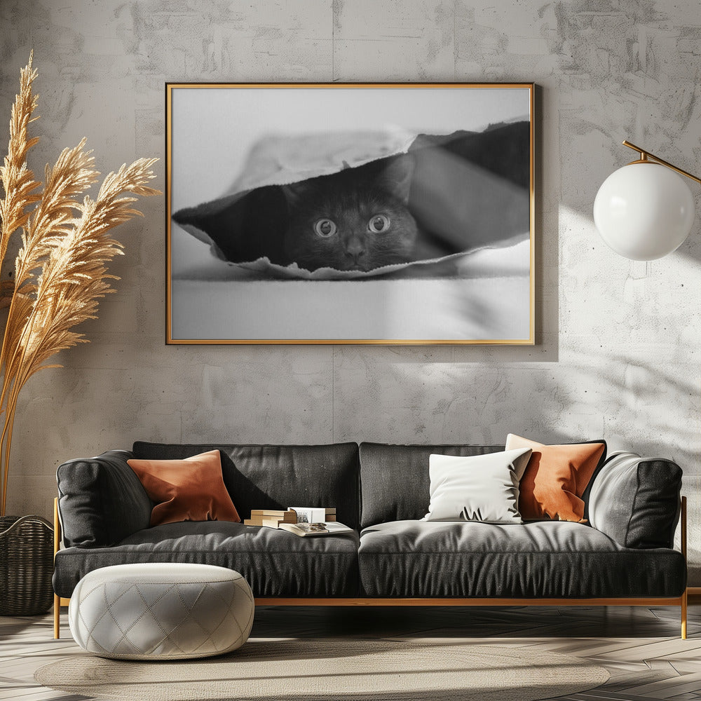 Katze im Sack | Poster