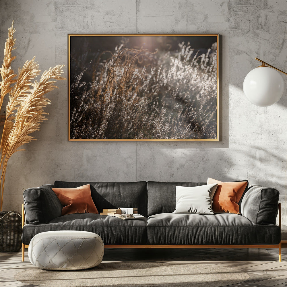 Warmes Winterlicht 4 | Poster