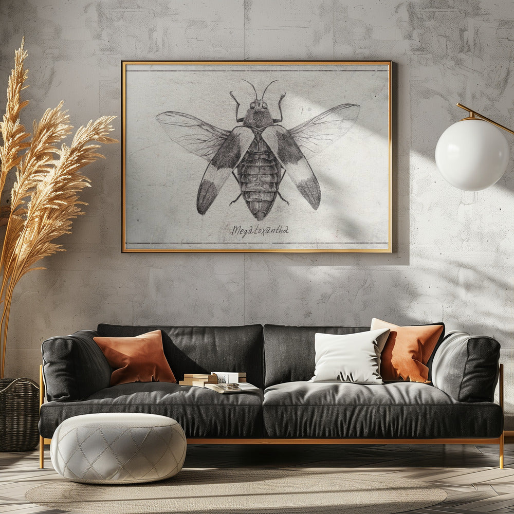 Komplexe Insektenskizze | Poster