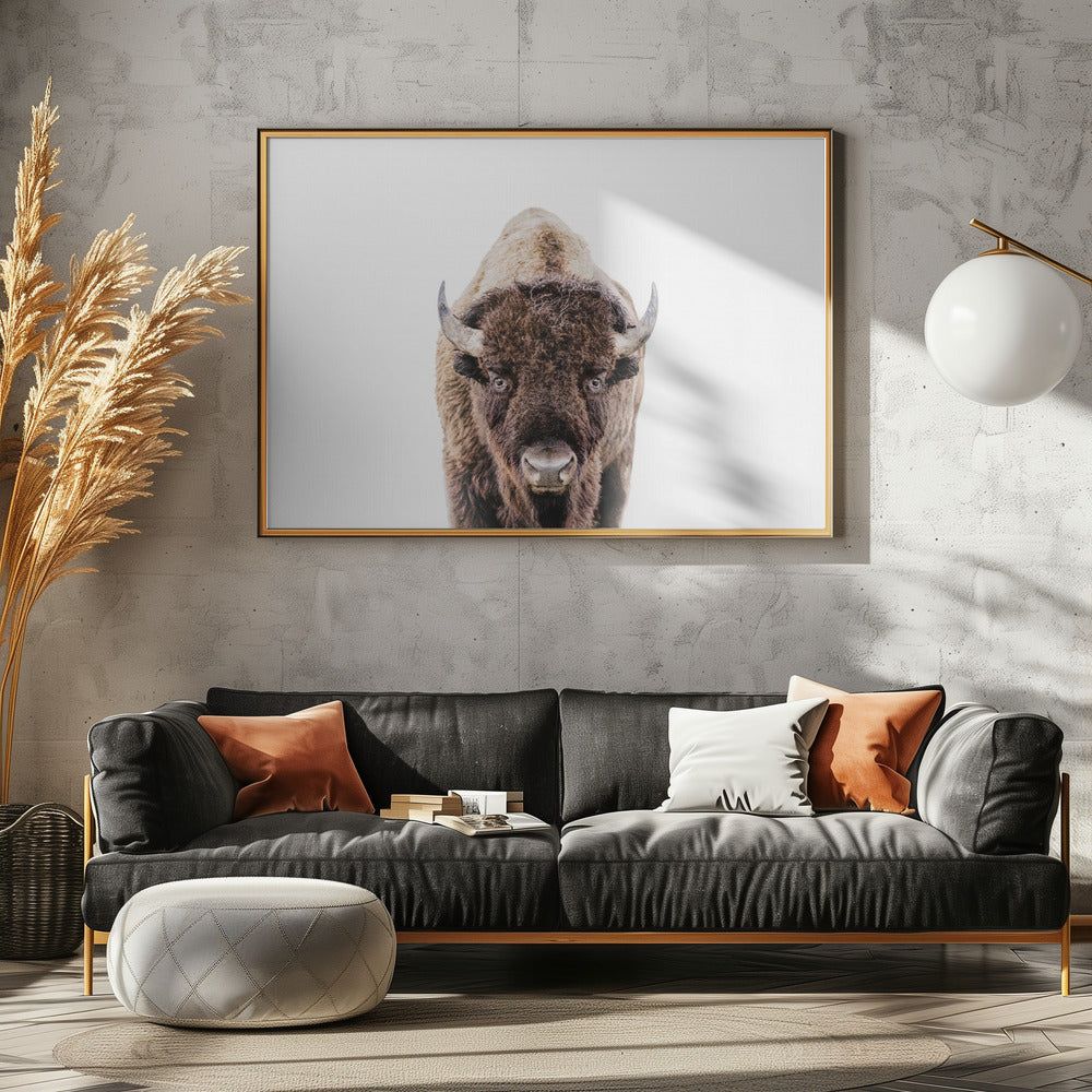 Bison | Leinwand