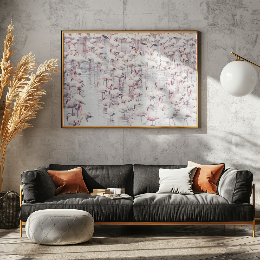 Flamingos | Canvas