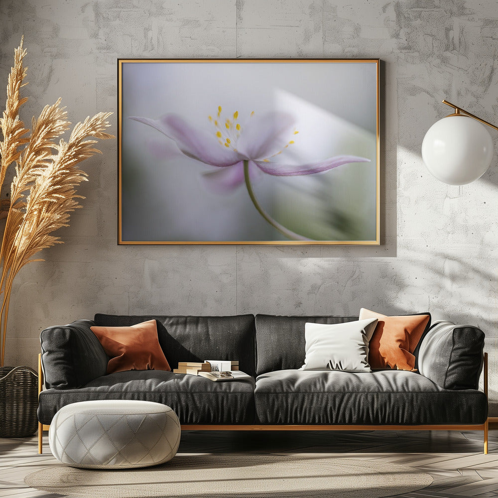 Nemorosa*** | Leinwand