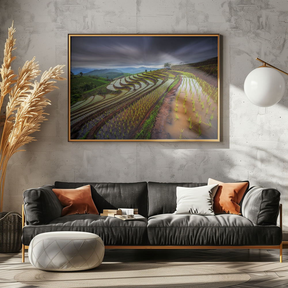 Unsichtbares Reisfeld | Poster