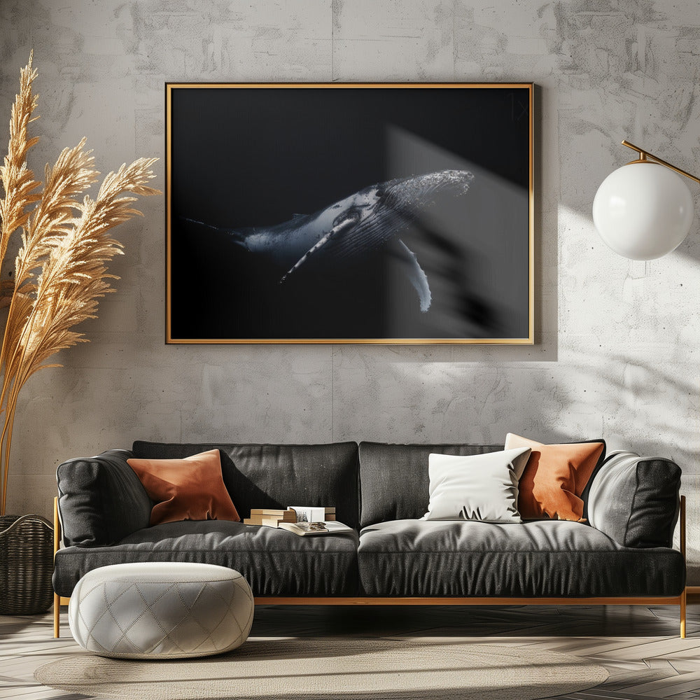 Schwarz &amp; Wal | Leinwand