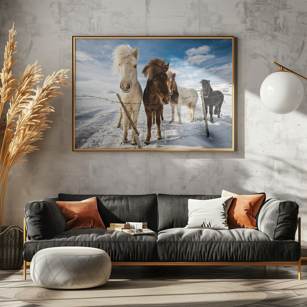 Isländische Frisur | Poster