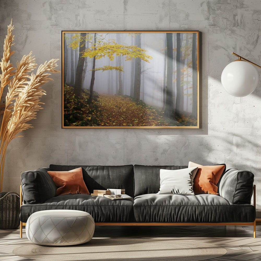 Untitled | Canvas