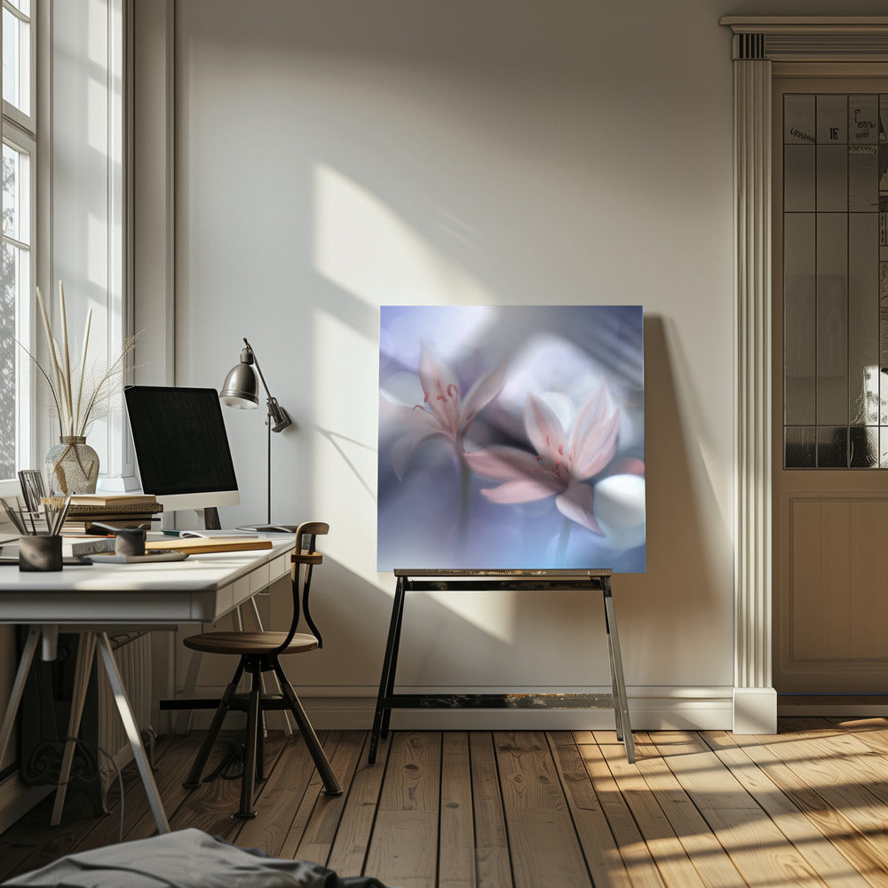 *-* | Leinwand