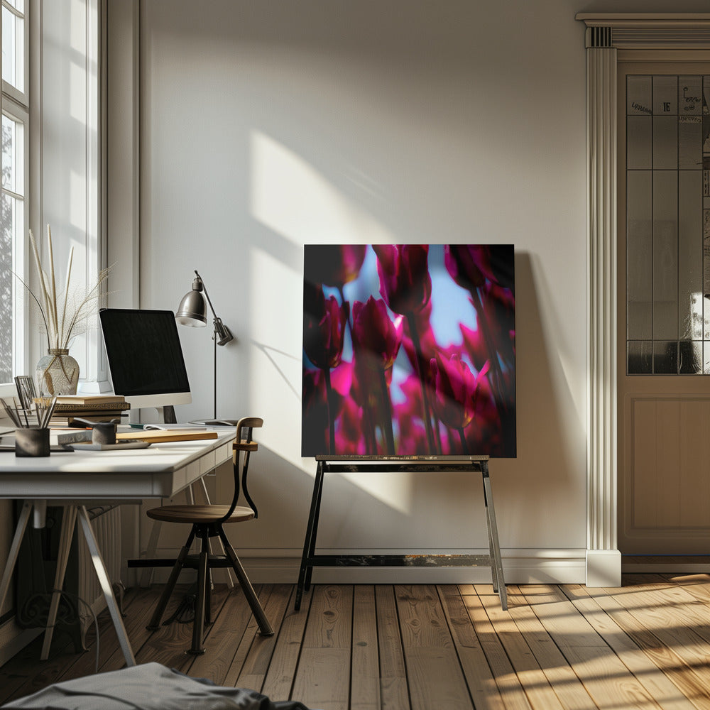 Lila Tulpen | Leinwand