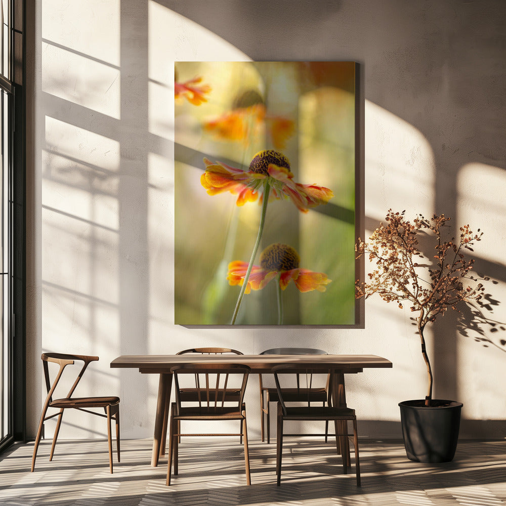 Helenium | Leinwand