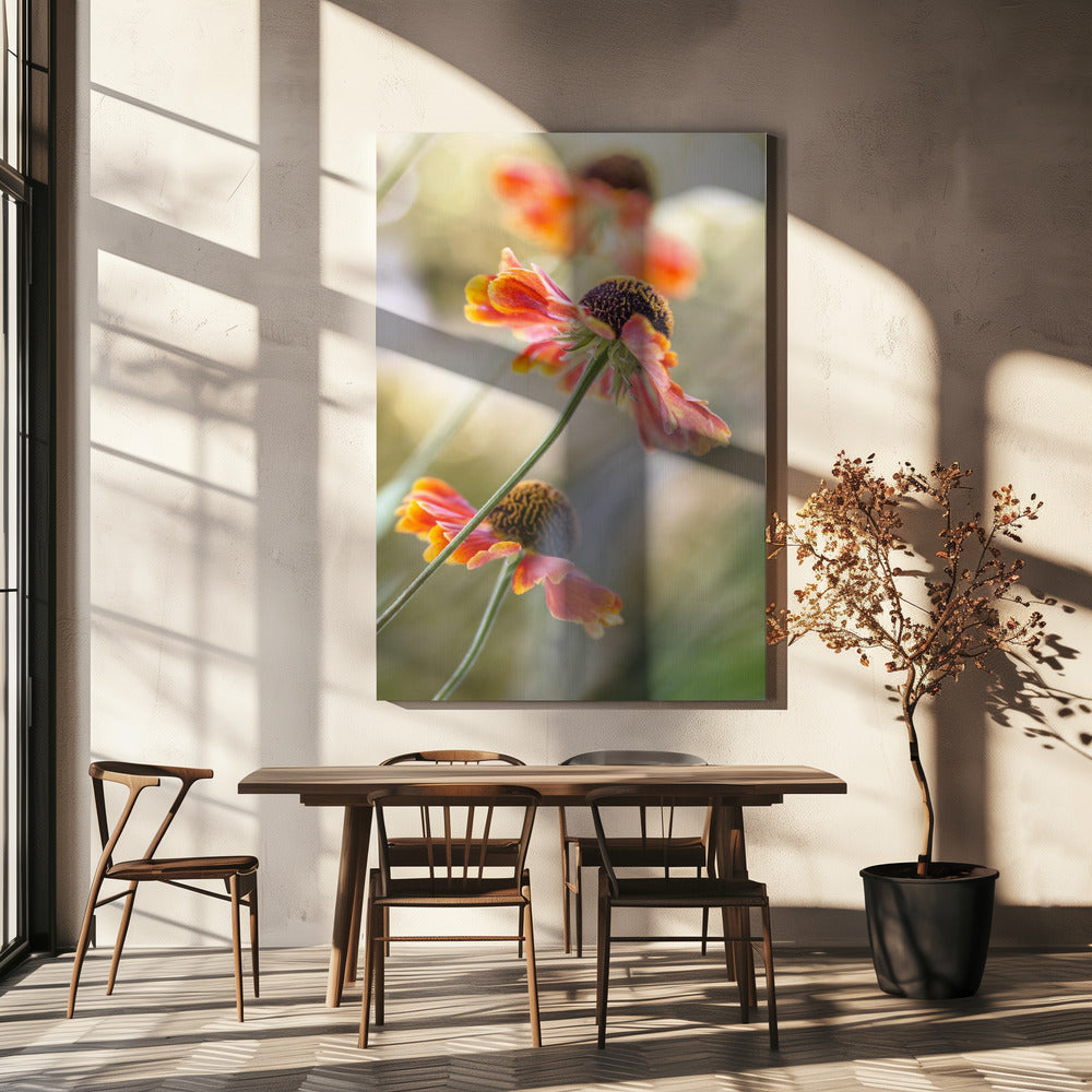 Helenium* | Leinwand